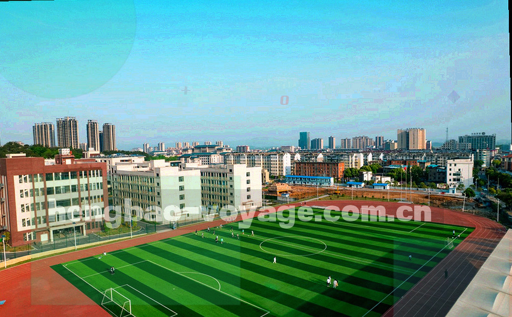 五组色块呈阶梯排列，用深浅区分不同类别